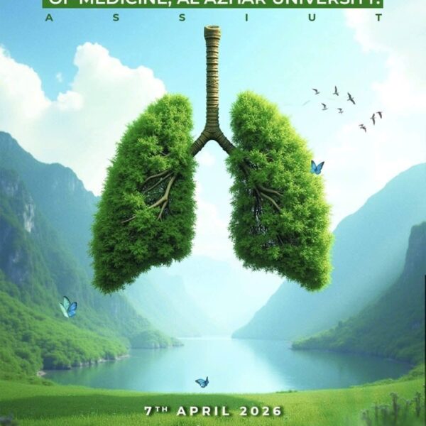 645403143_122256715616177925_299382865508056958_n